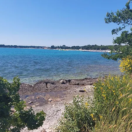 Nur 800 Meter Bis Zum Sandstrand Mit Klima, Wlan, Haustiere Sind Erlaubt Apartment Medulin